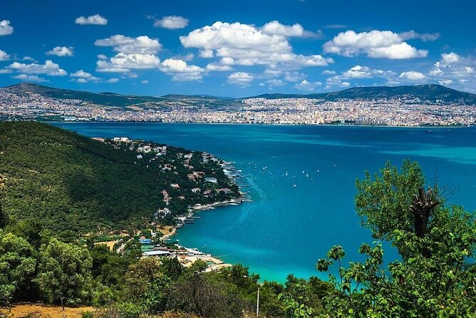 Princes Island Tour From Istanbul - Büyükada: the main island, guided sights, and real beach time (summer)
