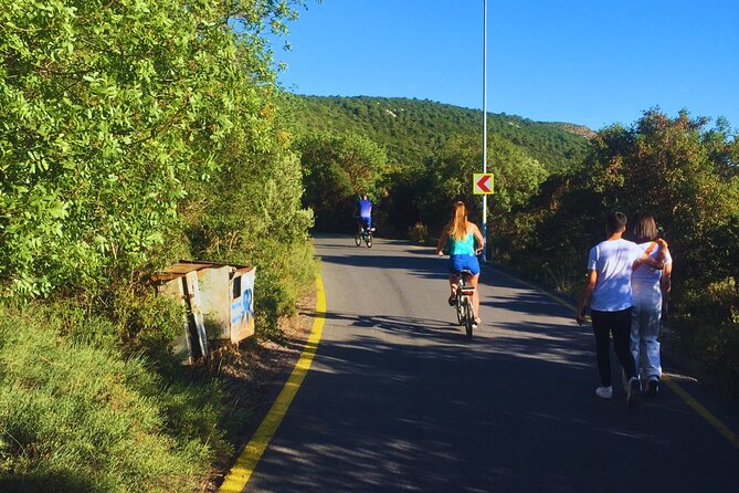 Princes' Islands ( Büyükada ) E-bike Tour - Princes’ Islands by e-bike: why Büyükada feels different