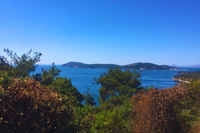 Princes' Islands ( Büyükada ) E-bike Tour - Aya Yorgi Church: the highest stop and why it’s worth the effort