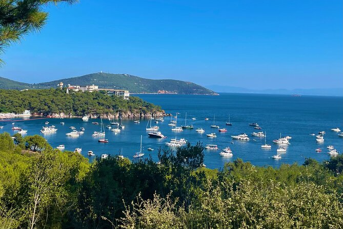 Princes' Islands ( Büyükada ) E-bike Tour - Nature Park, the Greek Orphanage, and the ride between stops