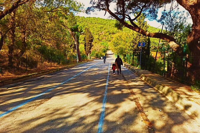 Princes' Islands ( Büyükada ) E-bike Tour - Guides, pace, and how to match the tour to your style