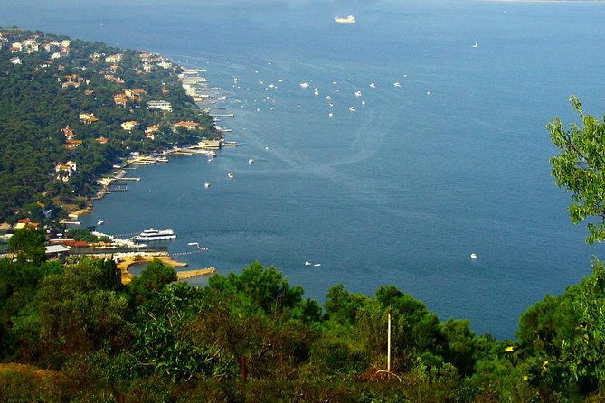 Princes' Islands Tour from Istanbul - Key Points to Know Before You Go