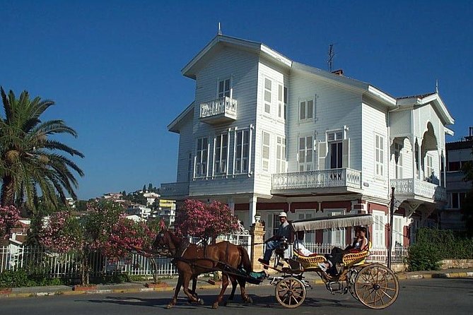 Princes' Islands Tour from Istanbul - Getting There: Pickup, the 9:00 AM Start, and What to Expect