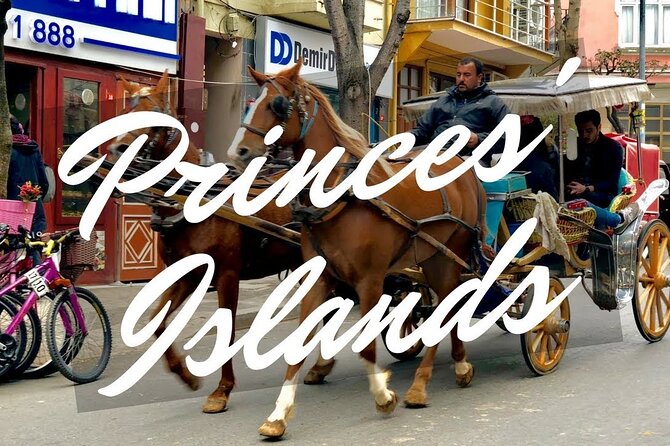Princess Island Tour with Lunch & Ferry Ride - Price and logistics: does this tour make sense for your kind of day?