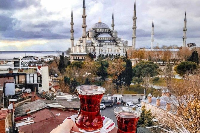 Private 12 Day Tour of Turkey From Istanbul - Hagia Sophia and the Blue Mosque: Timing, Tickets, and What to Look For