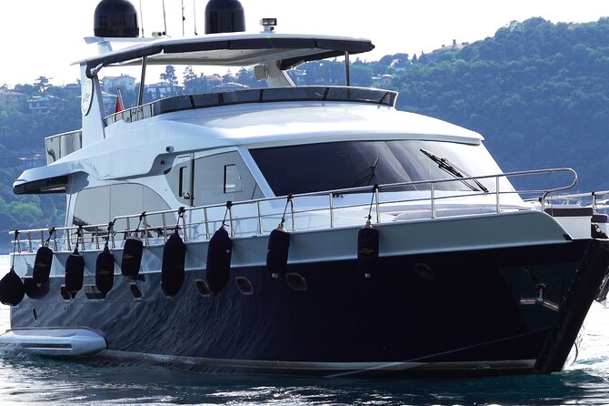 Private Bosphorus Sightseeing Cruise on Luxury Yacht - Dolmabahçe Palace and Ortaköy: the European shoreline opening act