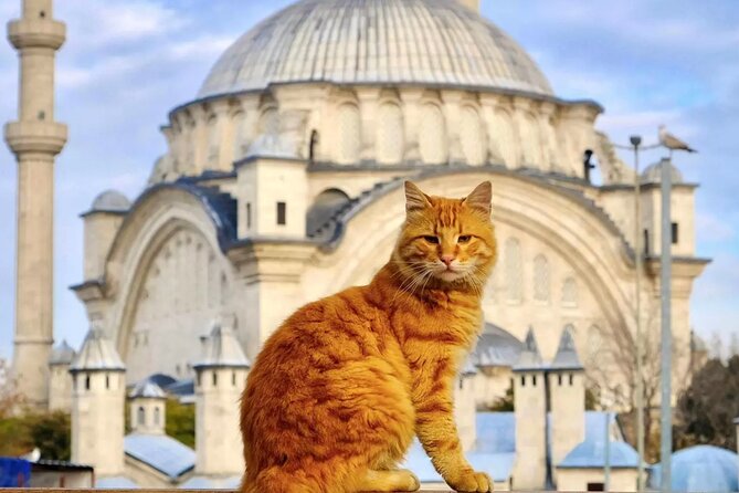 Private Cultural Tour of Istanbul: 1 or 2-Day Tailored Experience - Key Highlights to Know Before You Go