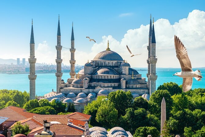 Private Cultural Tour of Istanbul: 1 or 2-Day Tailored Experience - Should You Book This Private Istanbul Tour?