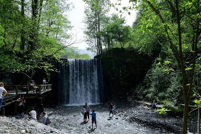 Private Day Trip From Istanbul to Lake Sapanca and Maşukiye Village - Sapanca Lake: a free 50-minute reset for photos and fresh air