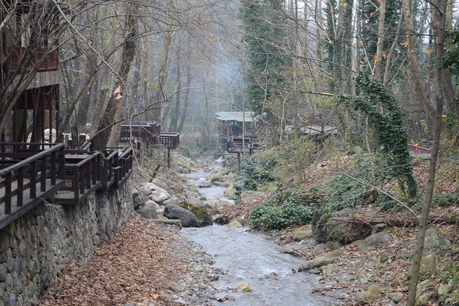Private Day Trip From Istanbul to Lake Sapanca and Maşukiye Village - Price and value: what $308.32 per person buys you