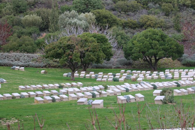 Private Gallipoli Full-Day Trip from Istanbul - Brighton Beach landing and ANZAC Commemoration: where the campaign began