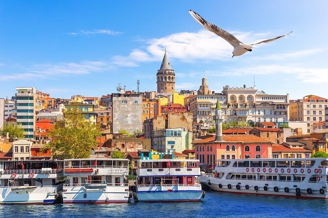 Private Guided Best of Istanbul Tour 1,2 or 3 Days - German Fountain meeting point, and why a start time matters