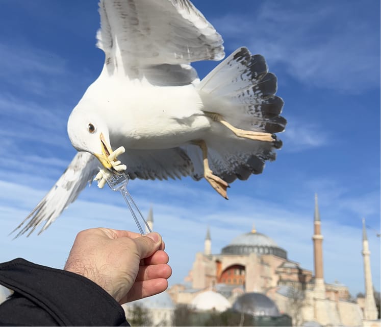 Private Guided Istanbul Luxury Tour (Tickets and Transfers) - Pickup and transfers: luxury AC comfort, and cruise-port friendly