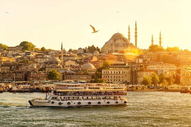 Private Guided Tour Istanbul from Cruise Ship or Hotel - Bosphorus Strait, Dolmabahce Palace, and Galata Tower: variety without long waits