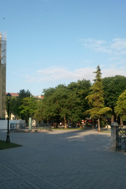Private Istanbul Highlights Tour with a VIP Van - Price and value: is $236 for a group up to 6 a smart deal?