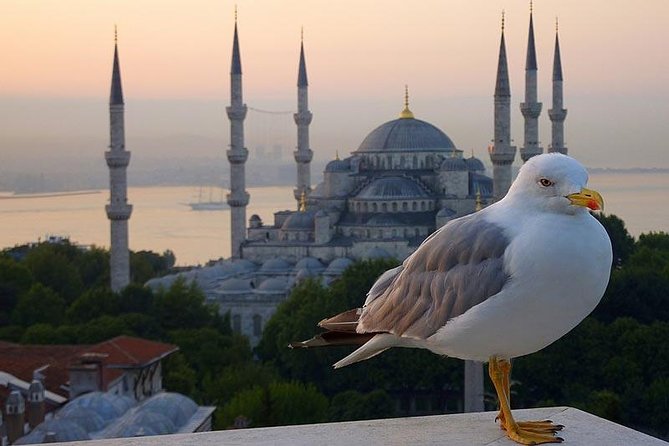 Private Istanbul Layover Tour From Airport - A Layover Tour That Stops You From Doing Nothing