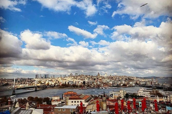 Prıvate Istanbul Tour by Luxury Minivan and Licensed Guide - Crossing Europe to Asia: The Bridge Moment That Changes the Day