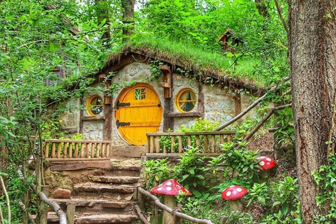 Private Tour of 2 Days 1 Night at Sapanca Lake to Abant - Drive to Abant and check in at Buyuk Abant Hotel