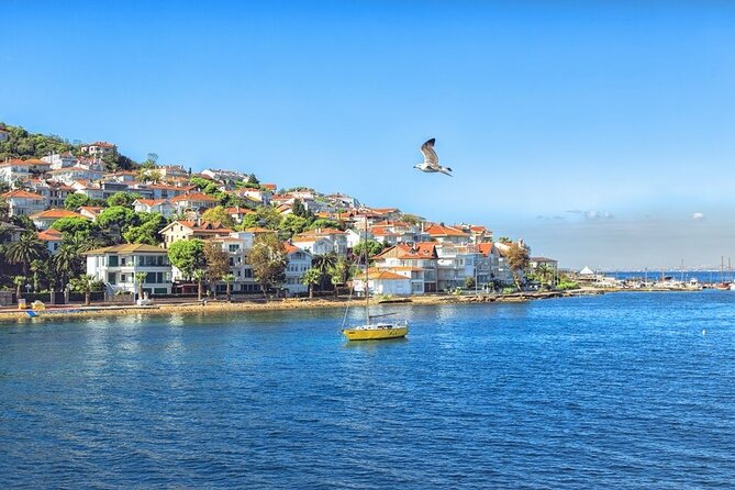 Private Yacht Istanbul Sightseeing or Special Occasion - Ortaköy Mosque and the Bosphorus Bridge pass-under moment