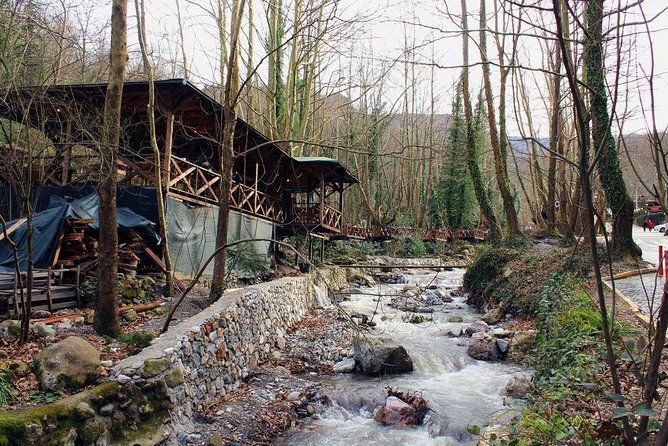 Sapanca And Masukiye Tour With Lunch - Full Day - The riverside lunch reset: why it matters mid-tour