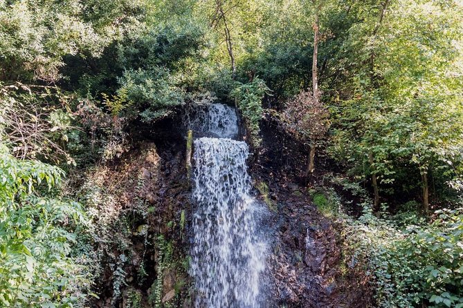 Sapanca And Masukiye Tour With Lunch - Full Day - Who should book this tour, and who might want something else