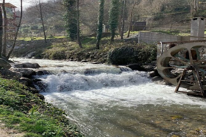 Sapanca Full Day Tour with Lunch - Maşukiye Selale: Views, Clean Air, and a Ski Town Vibe