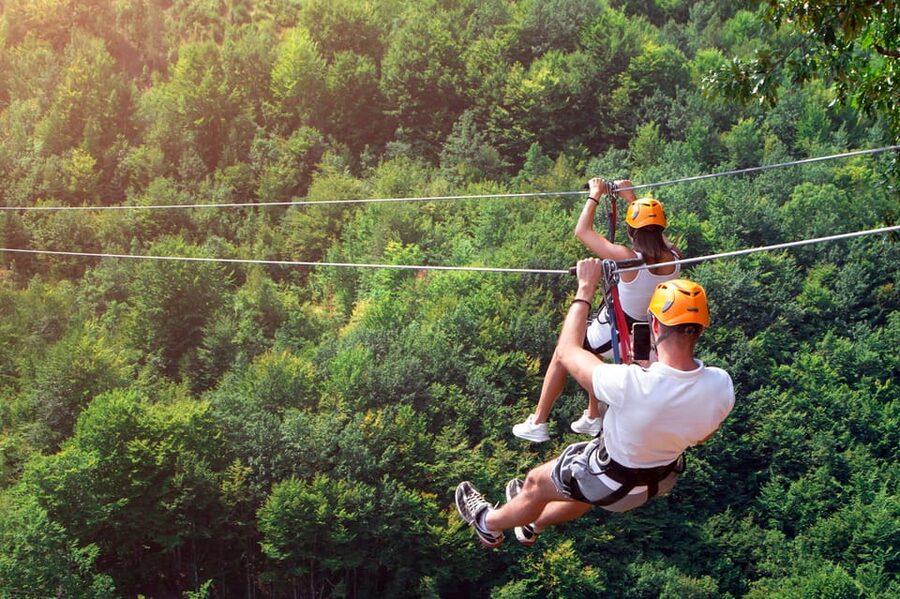 Sapanca Lake and Masukiye Full-Day Tour from Istanbul - Natural Habitat Park and Zoo stop in spring through fall