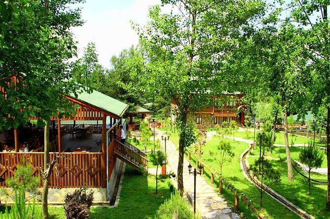 Sapanca Lake & Masukiye Tour From Istanbul - The morning intro in Istanbul: comfort, timing, and orientation