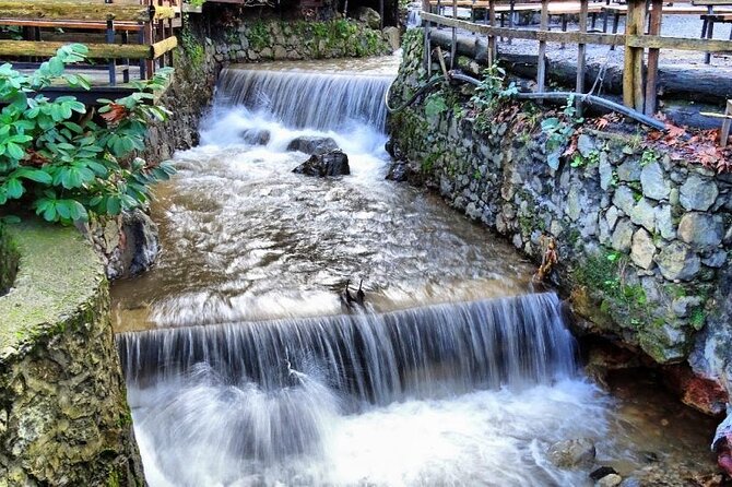 Sapanca Maşukiye Safari and Natural Wonders - Why this Sapanca safari day works from Istanbul