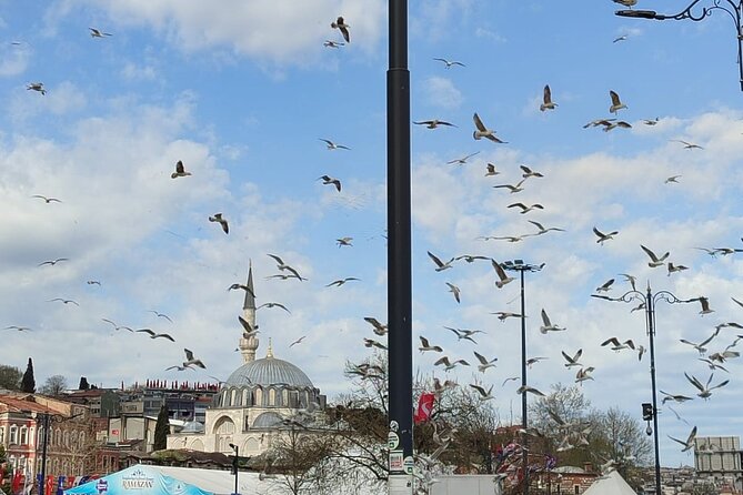 Skip Lines with Local Tour Guide Taha - Stop 1: Sultanahmet Hippodrome Square and the Nika Riots story
