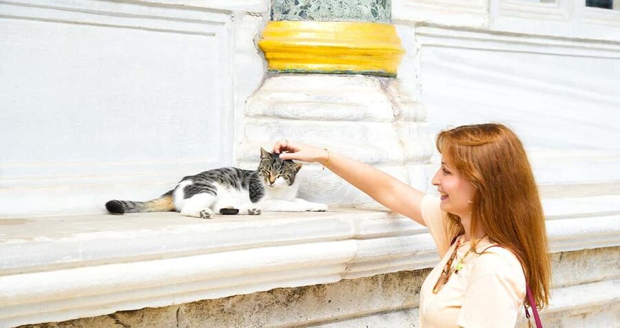 Topkapi Palace & Harem Tour + Bosphorus & Golden Horn Cruise - Price and Value: Is $93 Worth It for Topkapi Plus a Cruise?