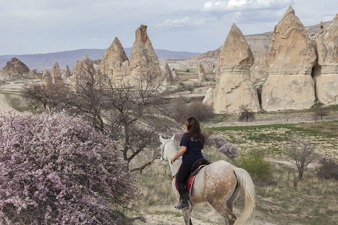 Turkey 8 Day Package - Istanbul, Cappadocia, Ephesus, Pamukkale - Day 6: Ephesus Ancient City in One Long, Guided Day
