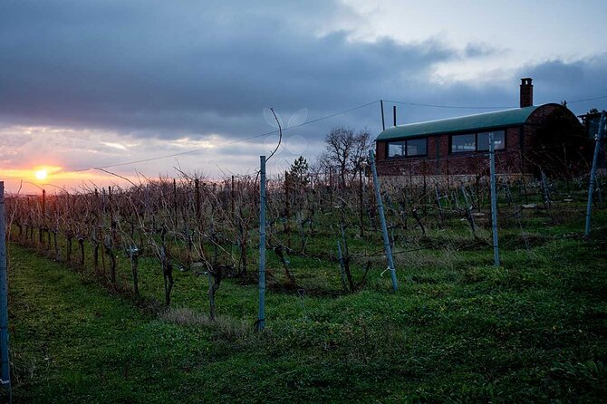 VIP Full Day Wineries Tour from Istanbul - Price and Value: Is $595.45 Worth It?