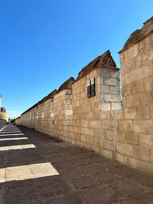 Walls of Contantinople and Byzantine Palace Tour - Key highlights worth your attention