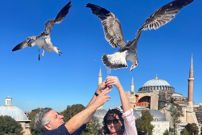 WONDERS of ISTANBUL: PRIVATE Full-Day Guided City Tour - Blue Mosque and Sultanahmet Square: the pair that clicks in one walk